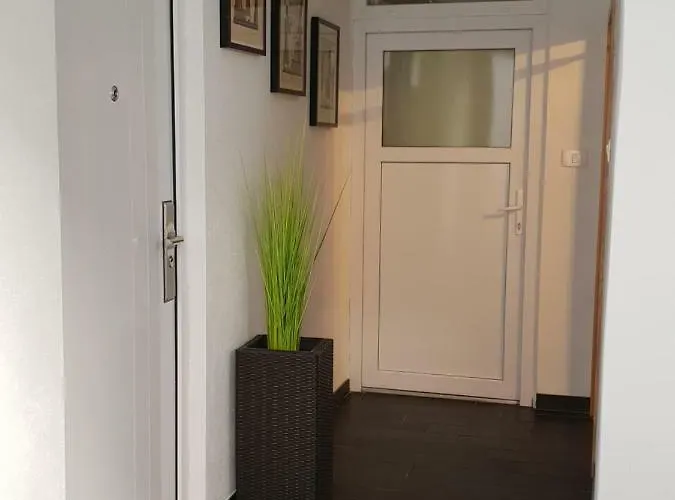 Studio Koper